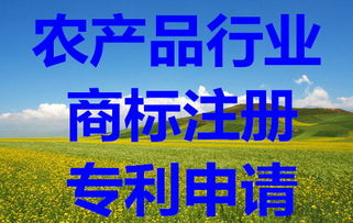 知識產權保護全攻略 從商標查詢到版權代理的完整指南